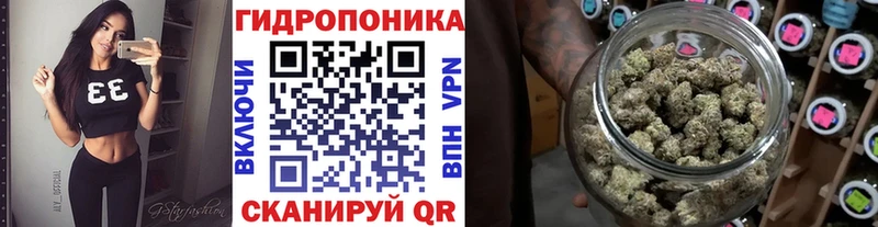 Марихуана Amnesia  kraken ONION  дарк нет состав  Баксан 